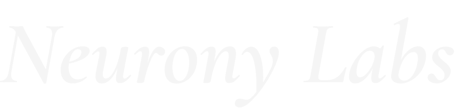 Neurony Labs